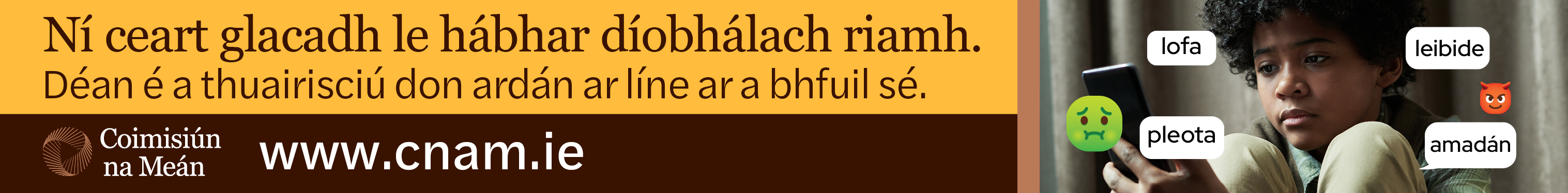 Coimisiún na Meán2